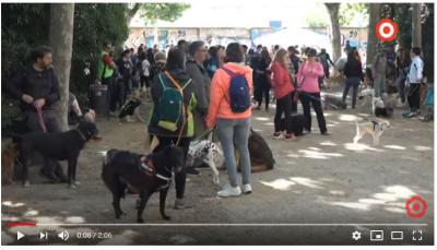 SOS Canicat recull 700 euros en la caminada solidària